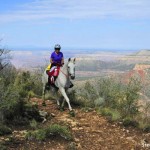 Horse Hoof Boots Grand Canyon