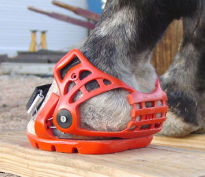 Renegade® Classic and Viper® Captivators | Renegade® Hoof Boots