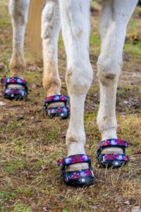 Renegade Hoof Boots with Custom Galaxy Straps