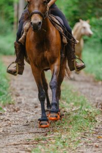 Renegade Hoof Boot Rider